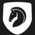 老a视频安装包下载入口