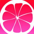 糟老头旧版本apk在线下载