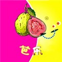 色柚视频apk下载大全